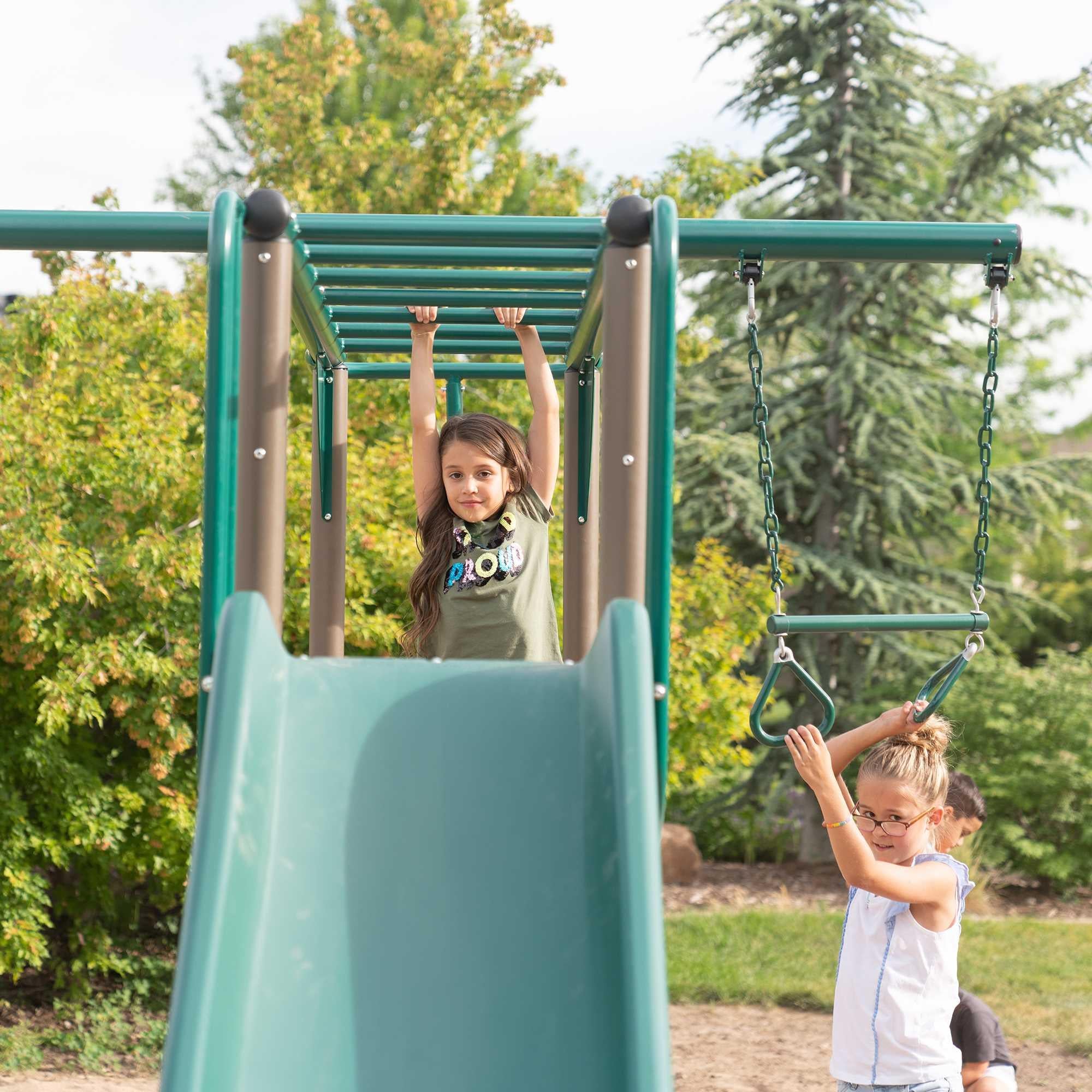 Lifetime Monkey Bar Adventure Swing Set (Earthtone) - 91028